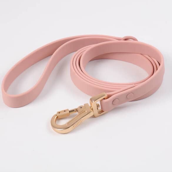 Aqua Glide Leash
