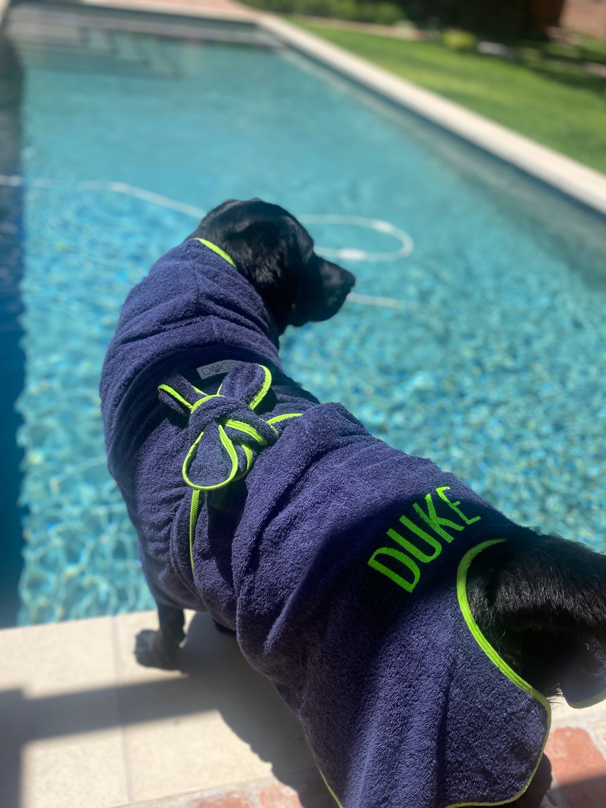 navy blue dog robe with customization