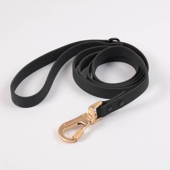 Aqua Glide Leash