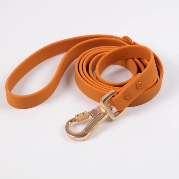Aqua Glide Leash