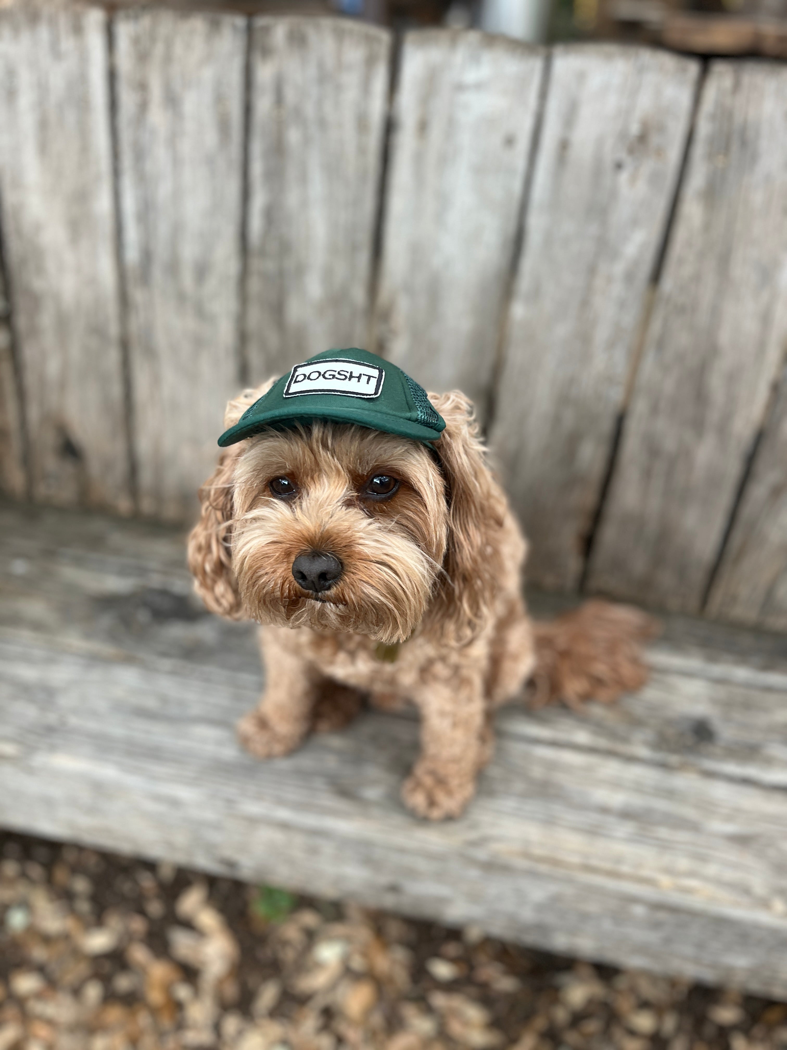 DOGSHT Hats for Dogs