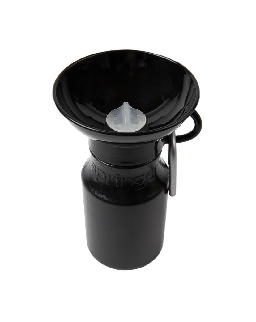 Mini Springer Travel Water Bottle