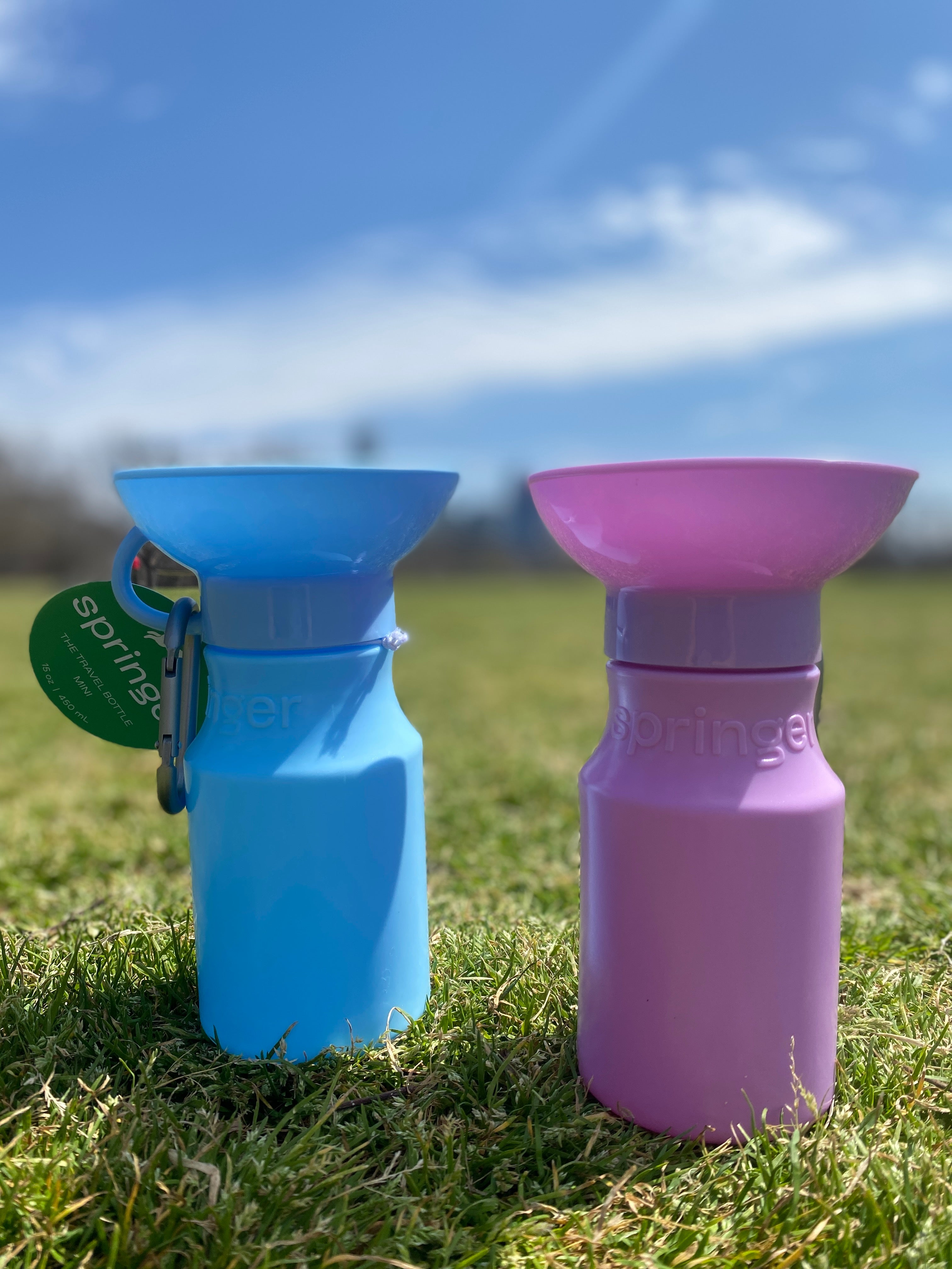 Mini Springer Travel Water Bottle