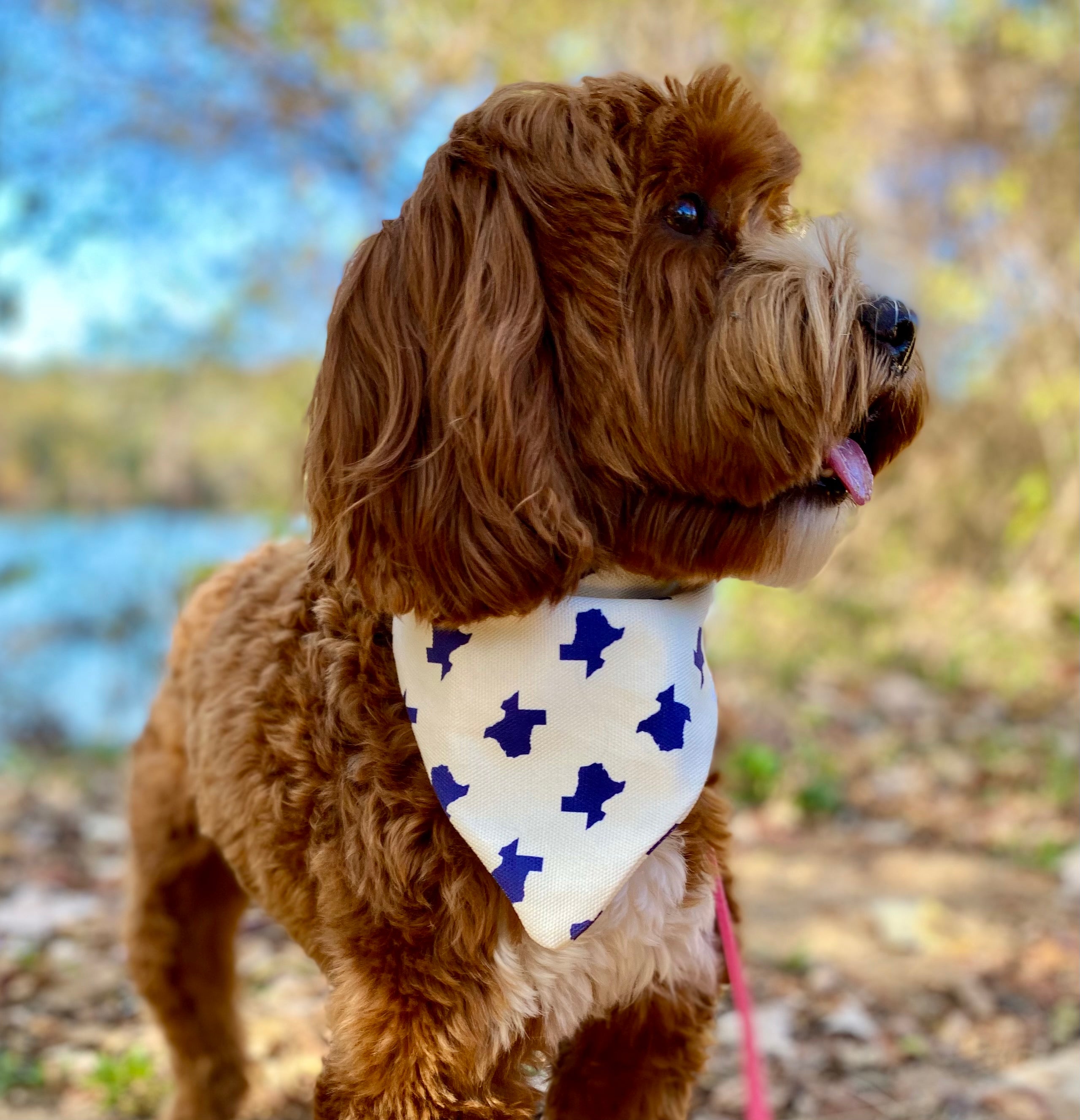 Dog Bandanas in duck canvas, flannel and cotton material. Over the collar bandanas or snap closure. Handmade bandanas locally crafted in Austin, TX