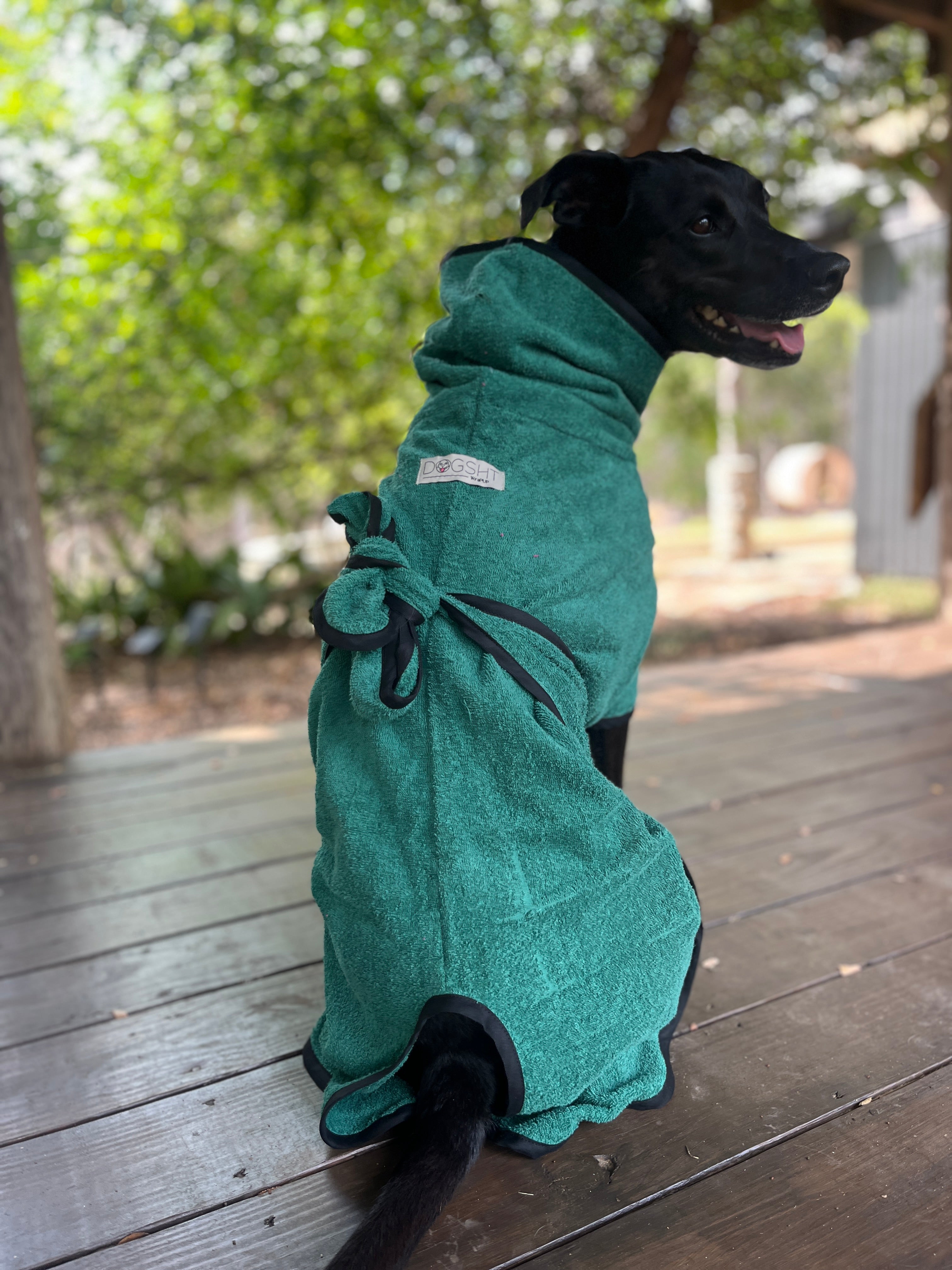 DOGSHT WraPUP