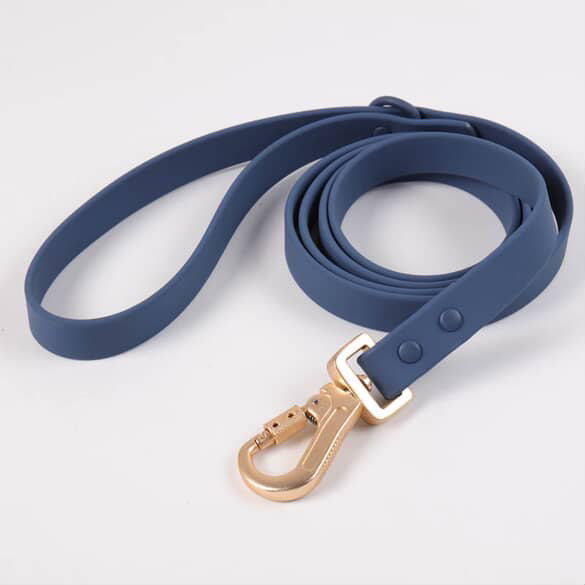 Aqua Glide Leash