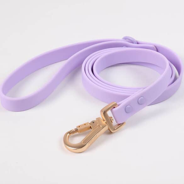 Aqua Glide Leash