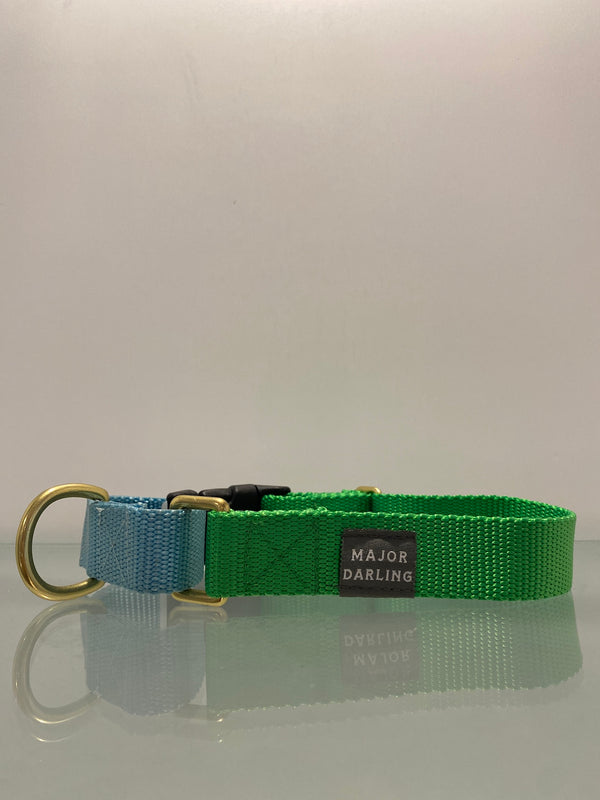 Lime + Ice Blue Martingale Collar with Side Release Buckle