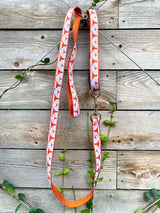 University of Texas Leash
