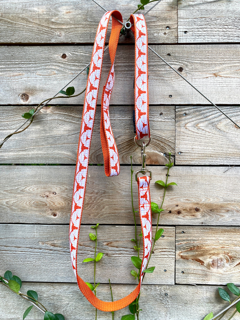 University of Texas Leash
