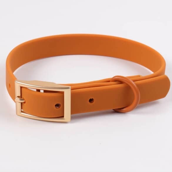 Aqua Glide Collar