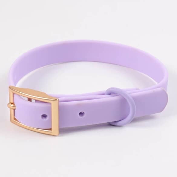 Aqua Glide Collar
