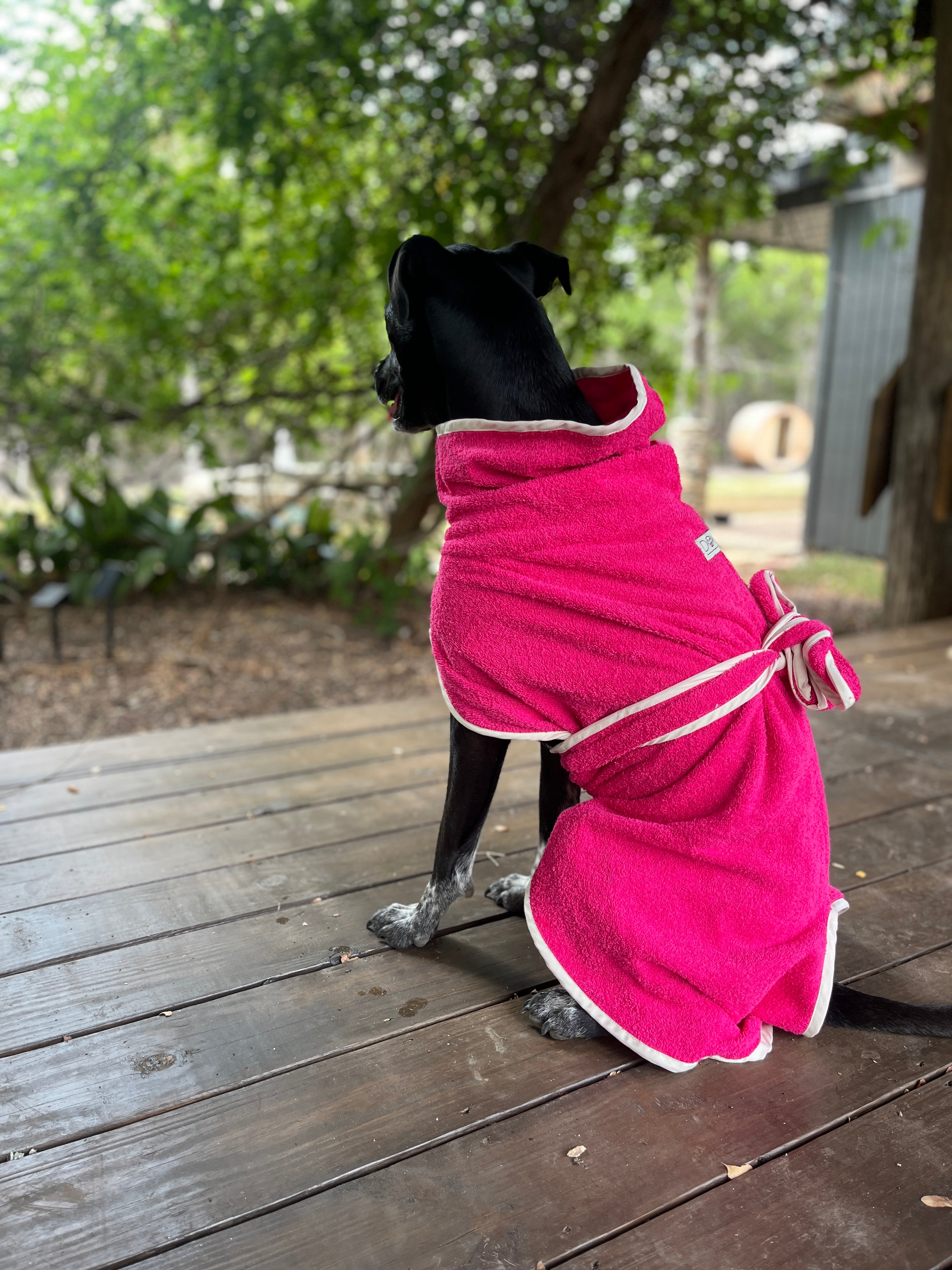 DOGSHT WraPUP