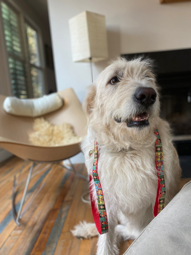 Frida Kahlo Leash