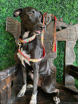 Frida Kahlo Leash
