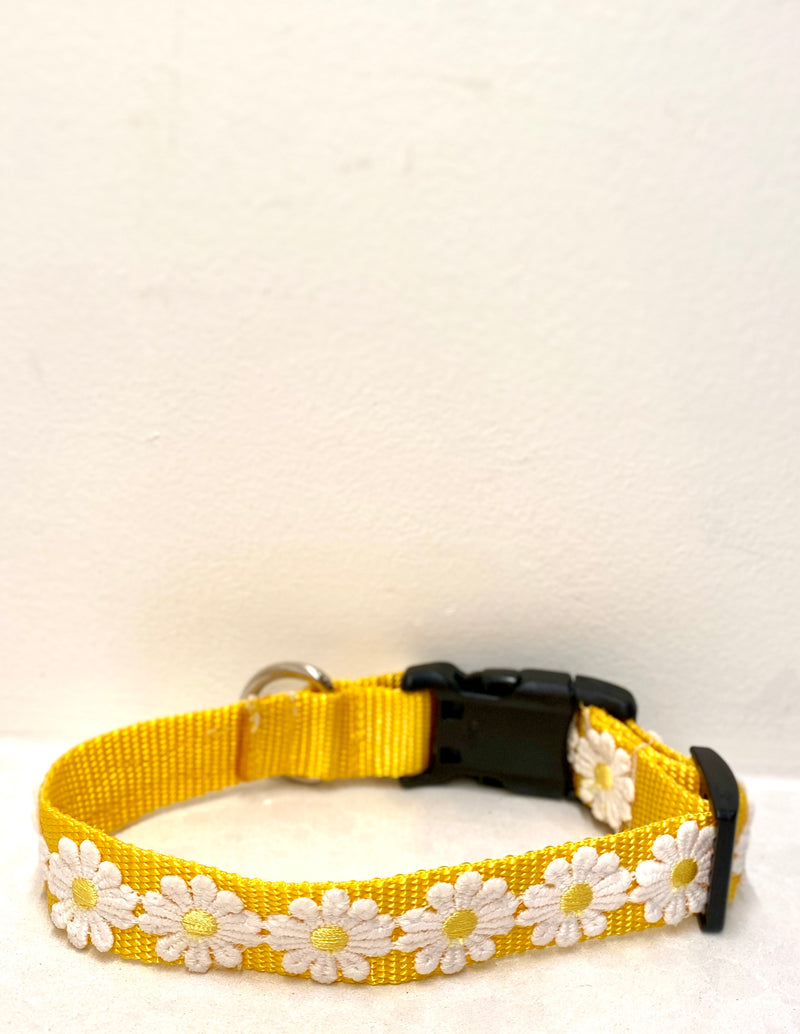 Yellow Shasta Daisy Collar
