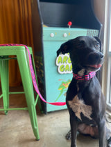 Pink Lobster Collar