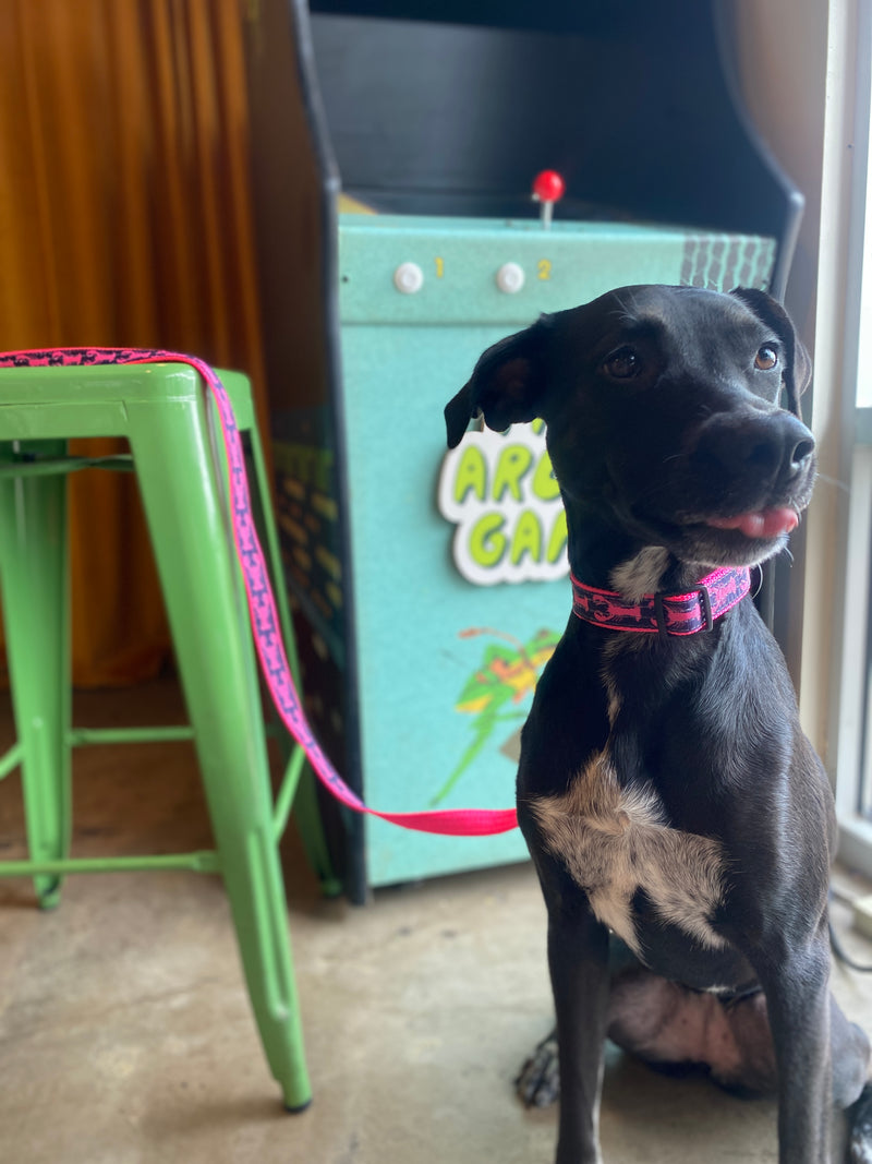 Pink Lobster Collar