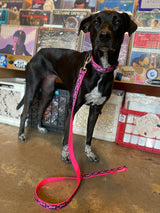 pink and black lobster dog collar and leash set