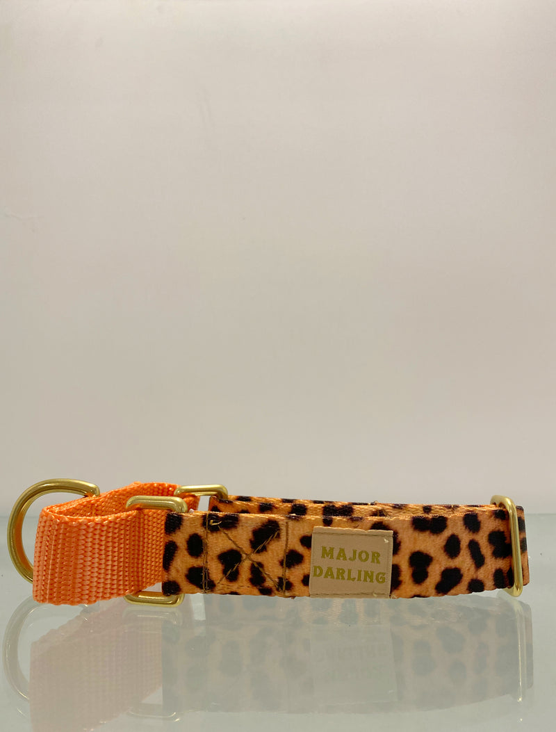 Leopard and Peach Martingale Collar