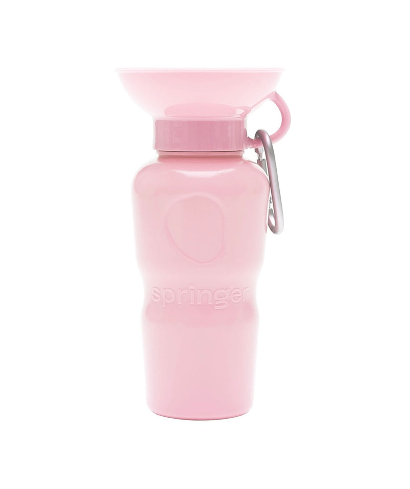 Springer Travel Water Bottle