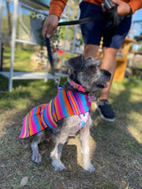 Sarape Dress