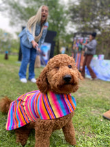 Sarape Dress