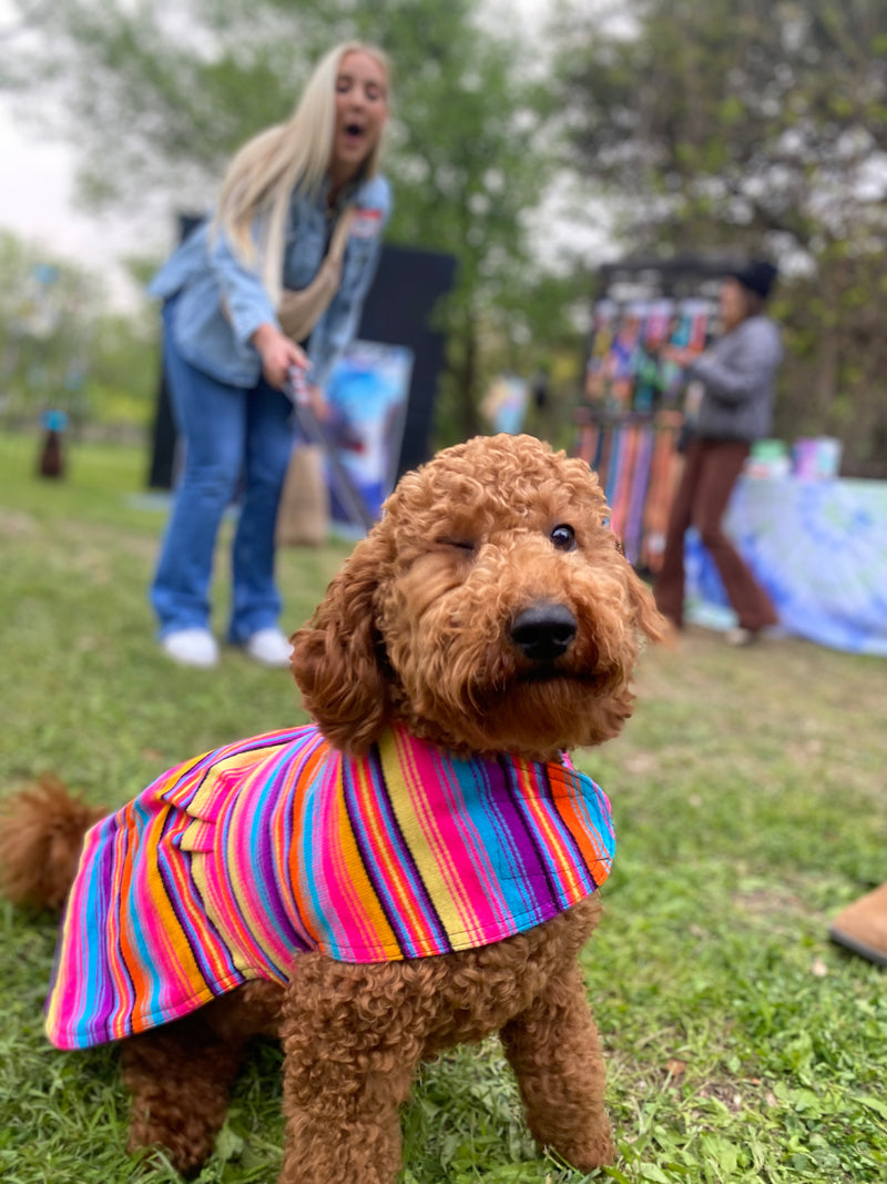 Sarape Dress
