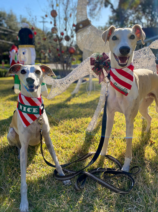 Naughty/Nice Reversible Bandana