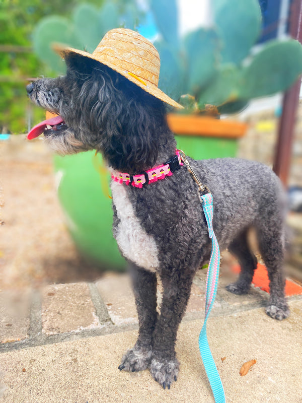 Pink Mermaid Leash