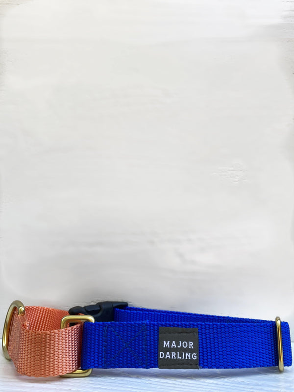 Cobalt + Peach Martingale Collar with Side Release Buckle