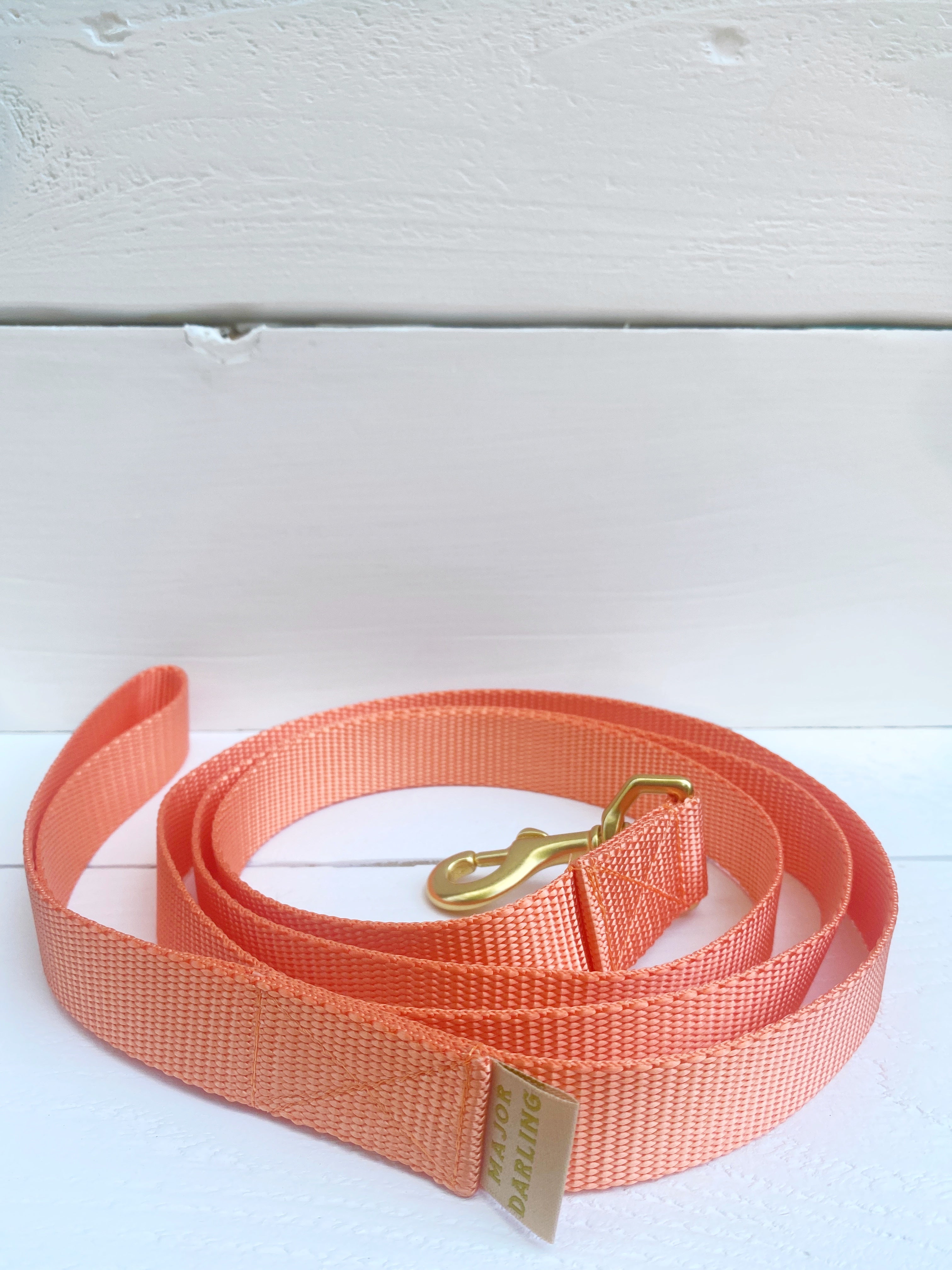 peach nylon dog leash made in Austin Texas
