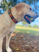 The Uno Collar