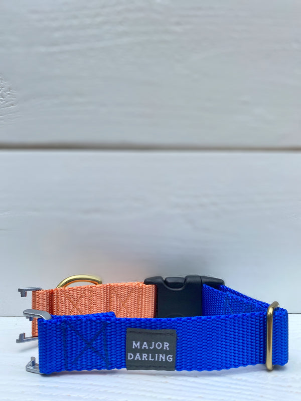 Fi-Compatible Side-Release Buckle Collar Band (Cobalt + Peach)