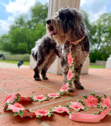 Elegant Flower Leash