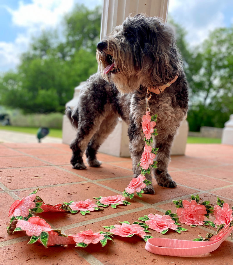 Elegant Flower Leash