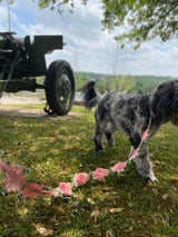 Elegant Flower Leash