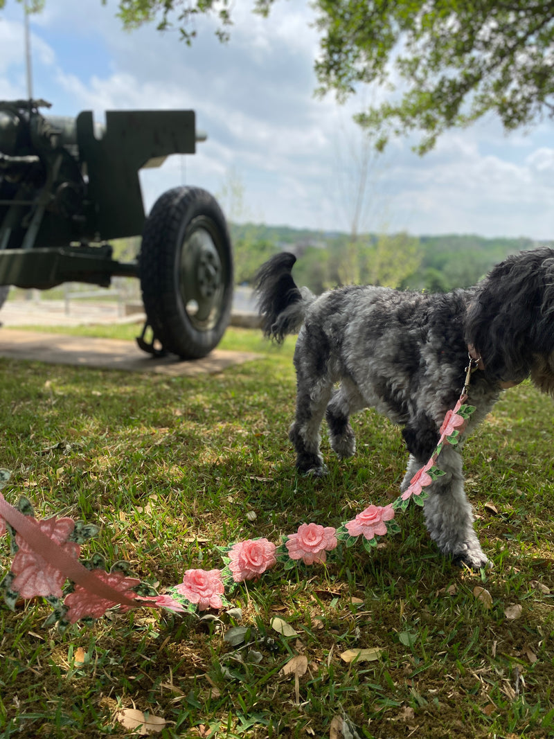 Elegant Flower Leash