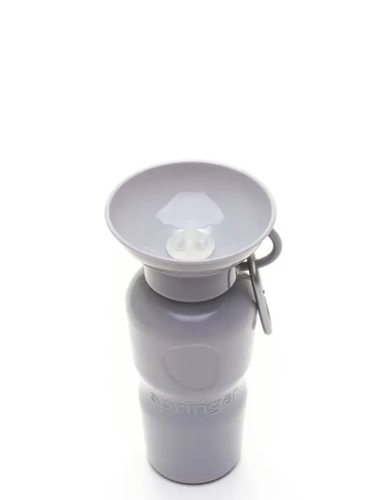 Springer Travel Water Bottle