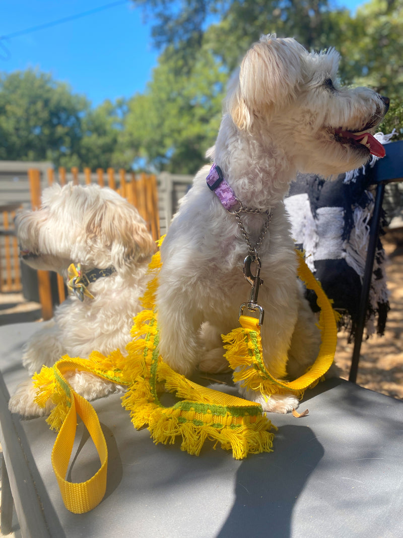 Yellow Tassel Leash