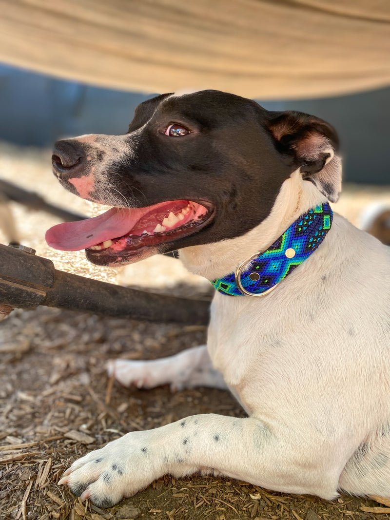 The Bodhi Collar