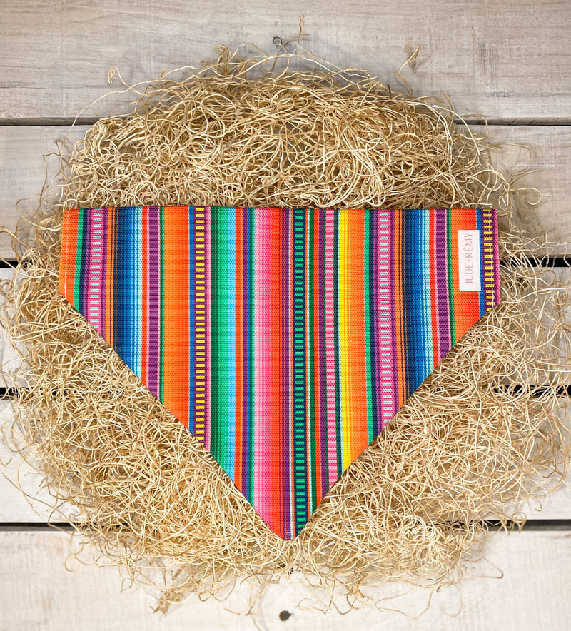 Mexican Blanket print dog bandana over the collar