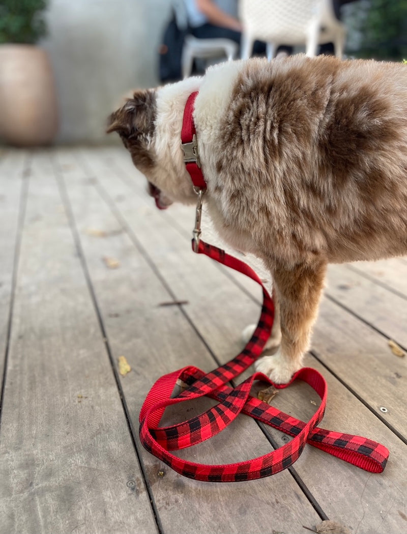 Slim Red Faux Suede Collar