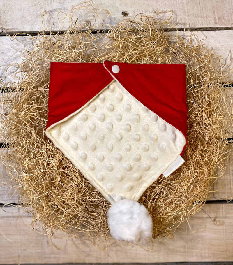 Santa Paws Bandana