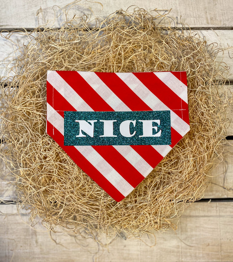 Naughty/Nice Reversible Bandana