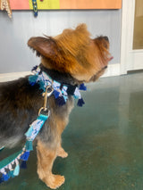 Blue Tassel Collar