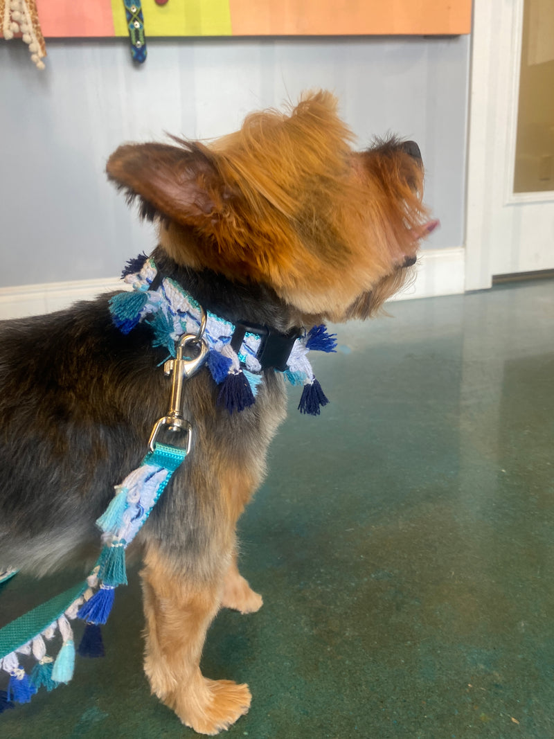 Blue Tassel Collar