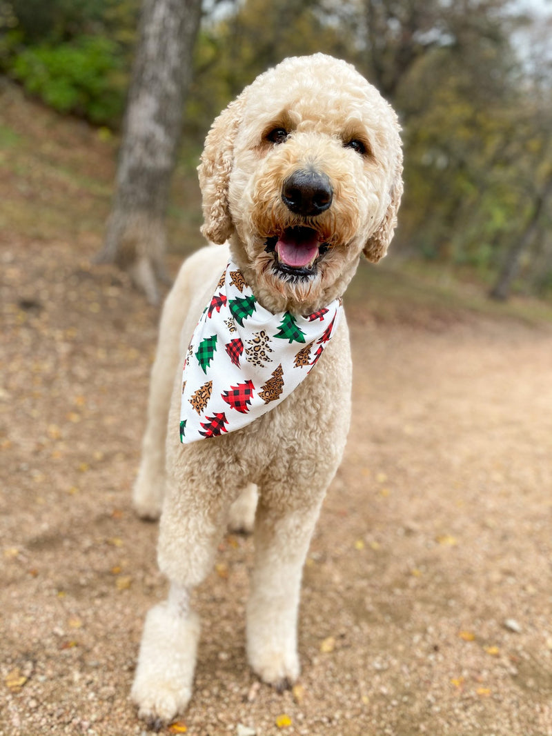 Leopard Christmas Trees Bandana