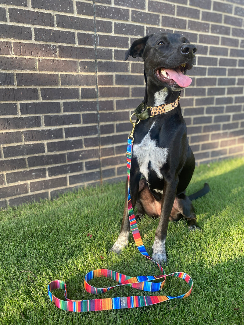 not-so-basic serape leash