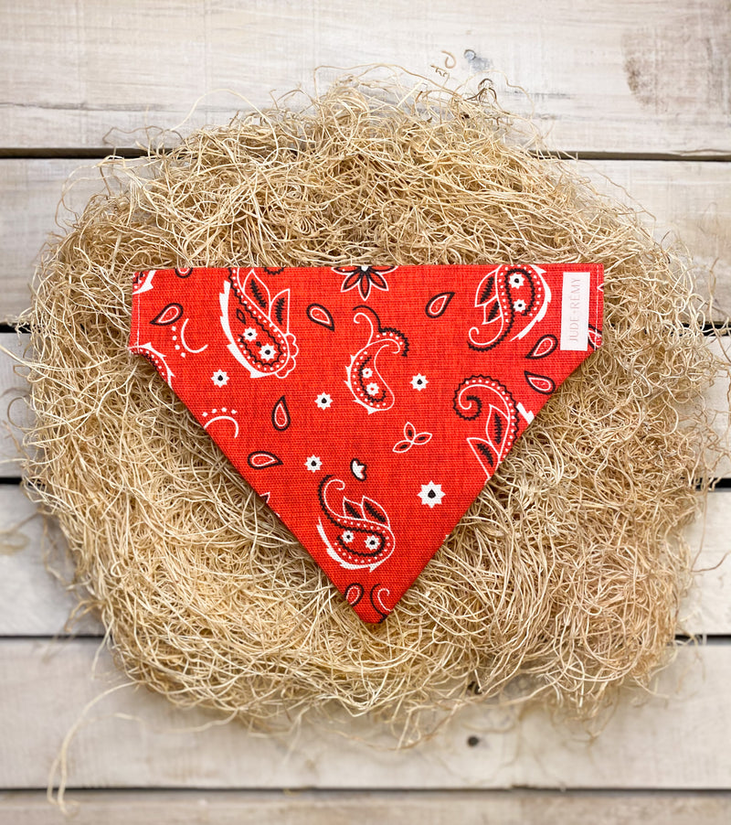 Red Western Paisley Dog bandana